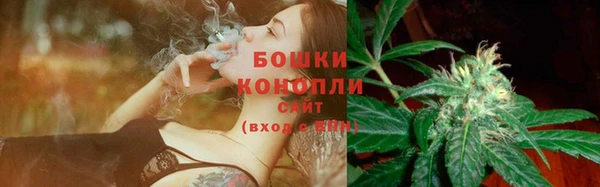 ГАЛЛЮЦИНОГЕННЫЕ ГРИБЫ Лиски