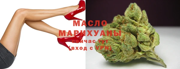 стаф Магас