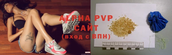 стаф Магас