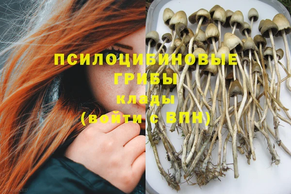 ГАЛЛЮЦИНОГЕННЫЕ ГРИБЫ Лиски