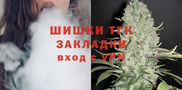 стаф Магас